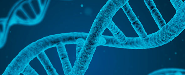 DNA fazendo referência à síndrome de Kallmann.